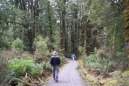 This was another one of those "easy" New Zealand walks. Let me inform you, Kiwi easy is REALLY hard.